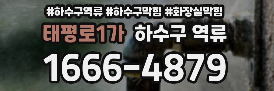 태평로1가 하수구 역류