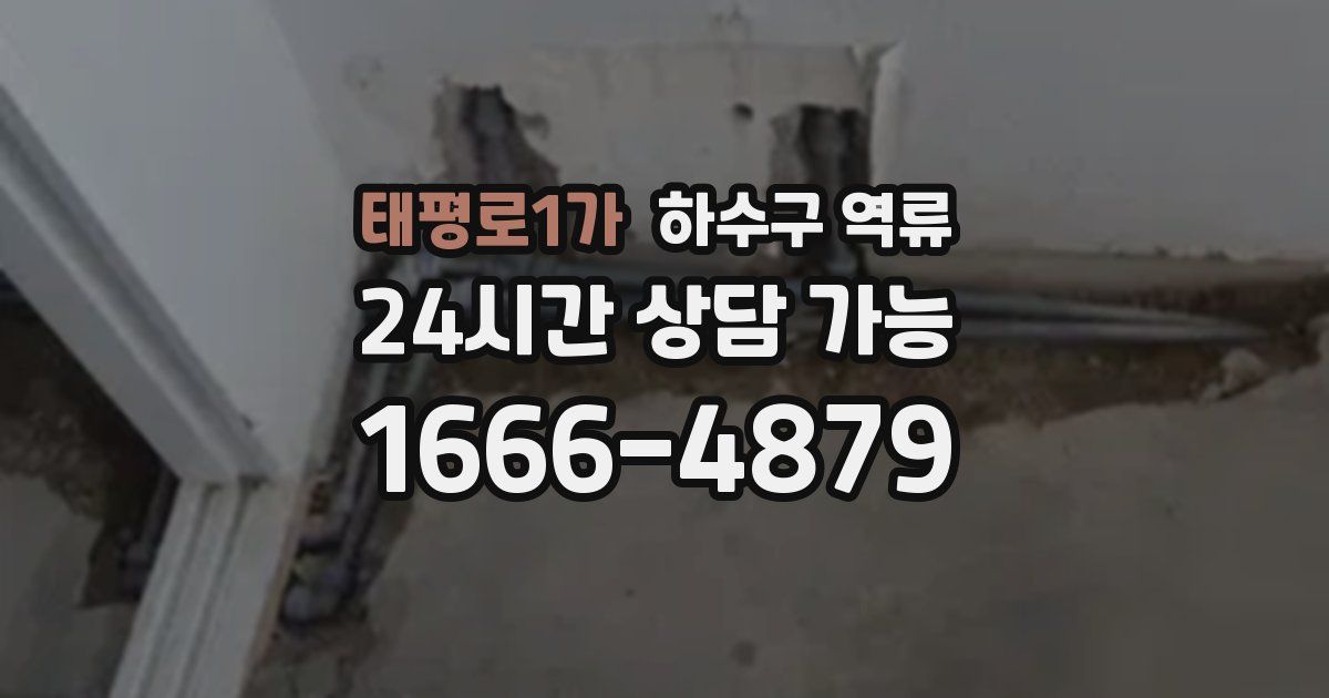 태평로1가 하수구 역류