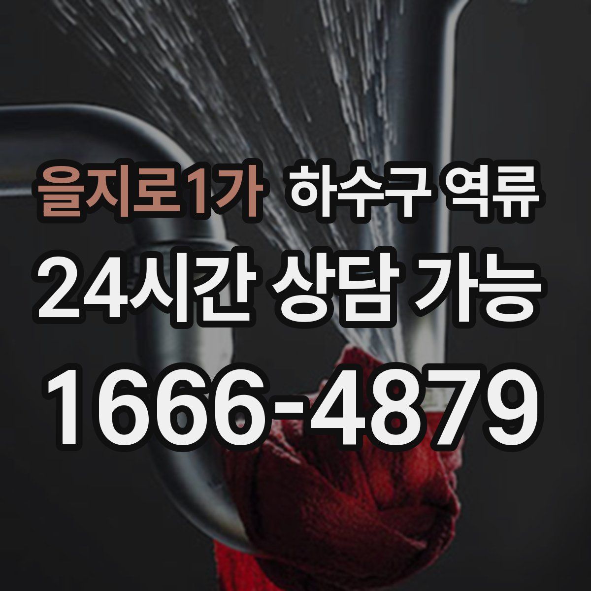 을지로1가 하수구 역류