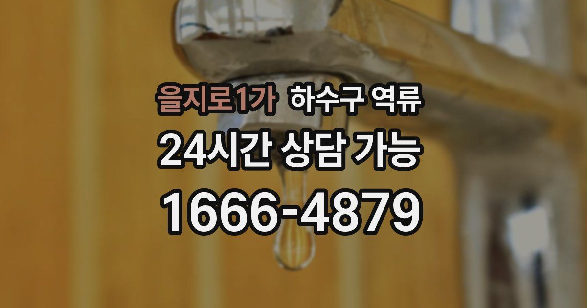 을지로1가 하수구 역류