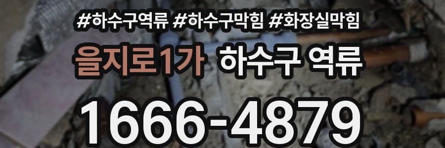 을지로1가 하수구 역류
