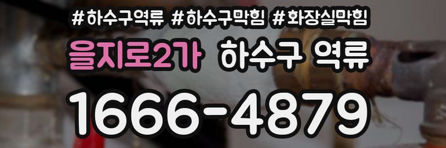 을지로2가 하수구 역류