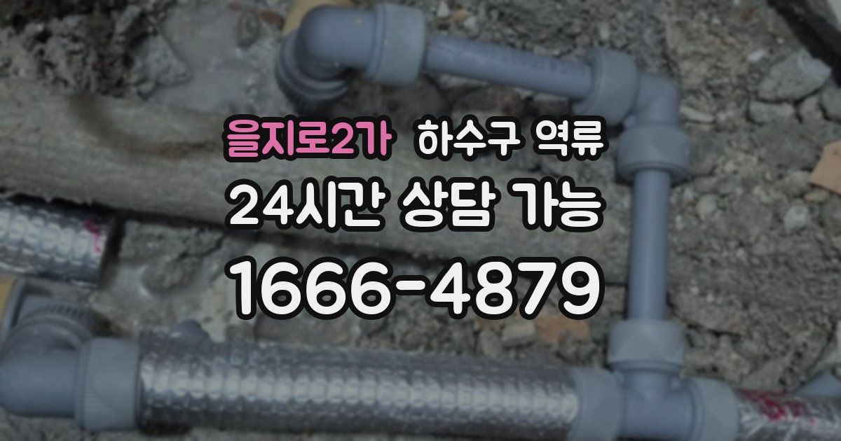 을지로2가 하수구 역류