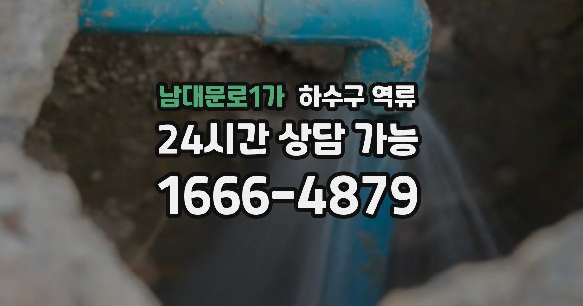 남대문로1가 하수구 역류