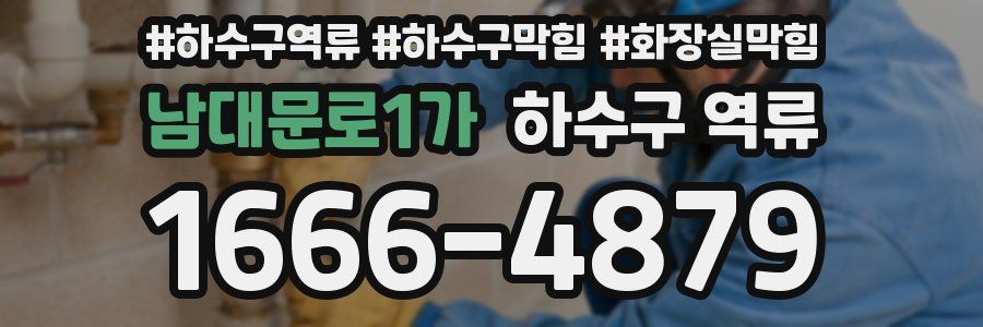 남대문로1가 하수구 역류