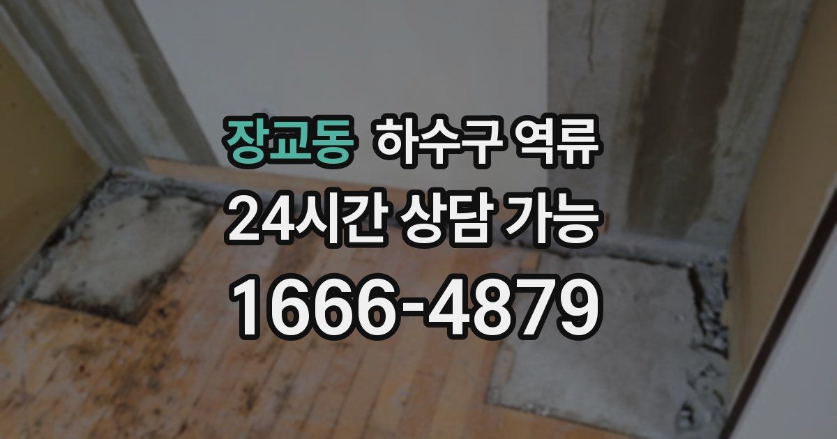 장교동 하수구 역류