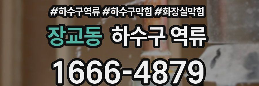 장교동 하수구 역류