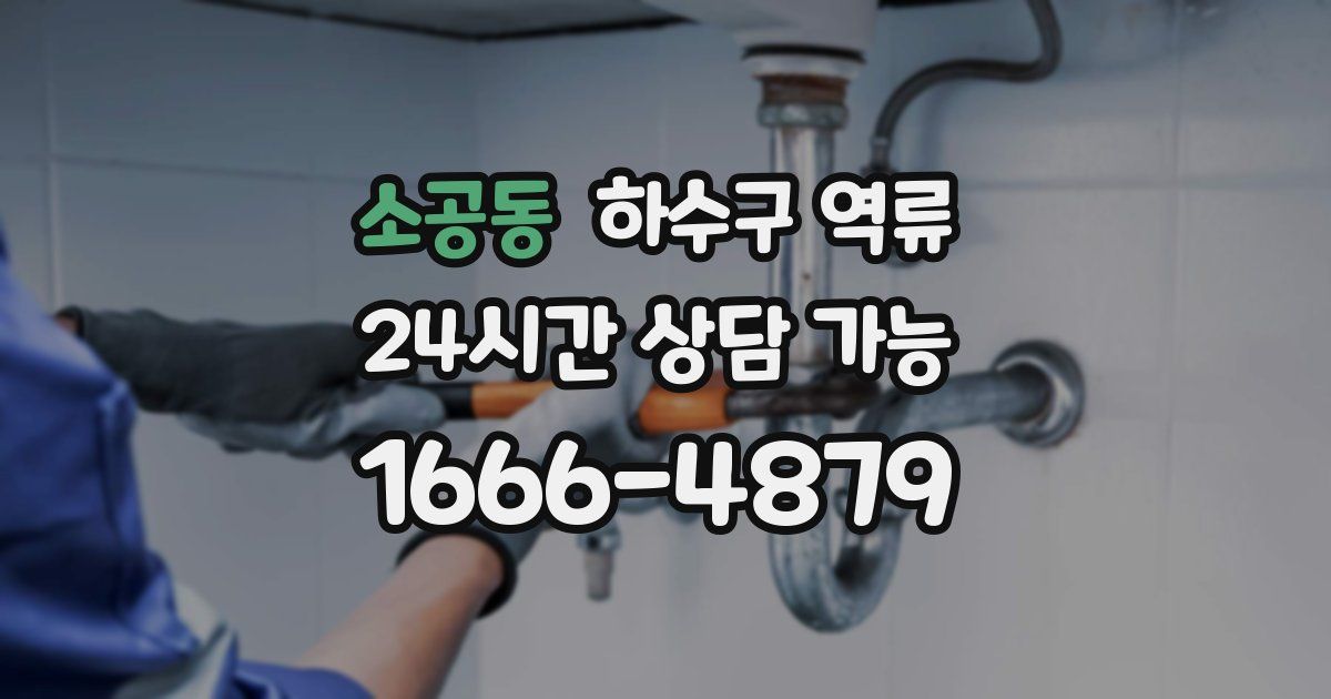 소공동 하수구 역류