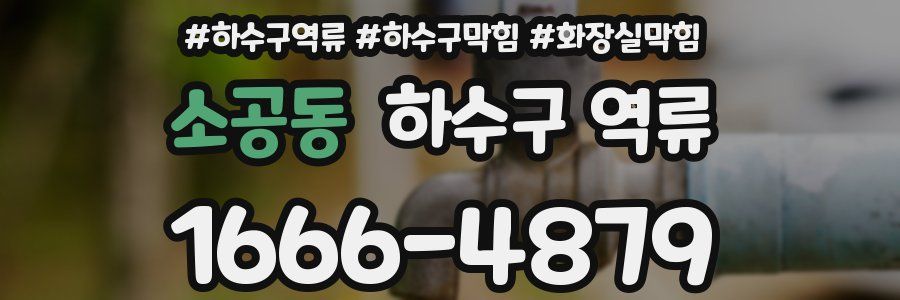 소공동 하수구 역류