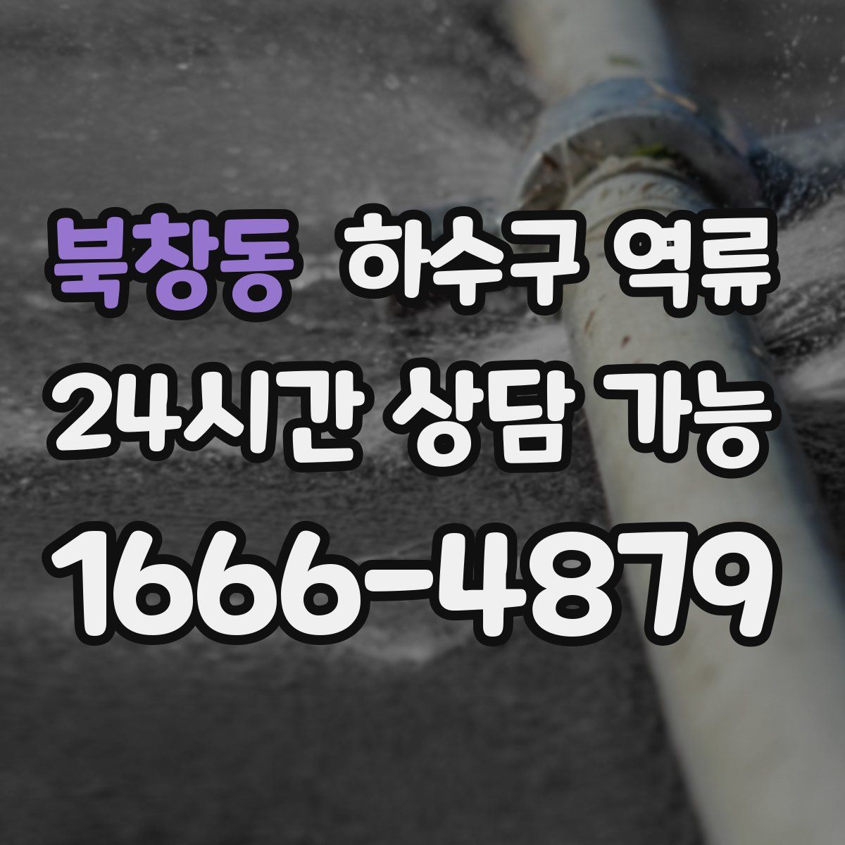 북창동 하수구 역류