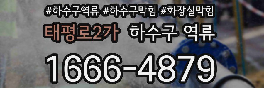 태평로2가 하수구 역류