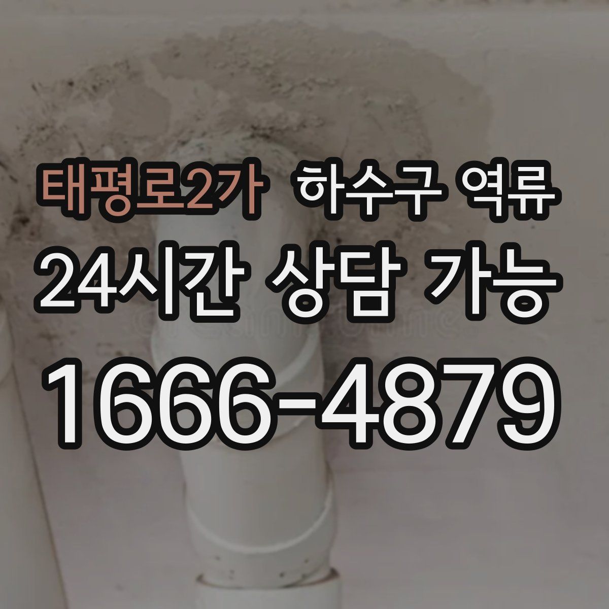 태평로2가 하수구 역류