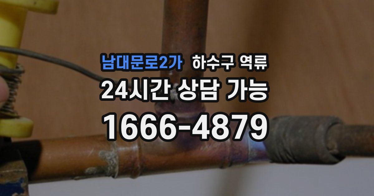 남대문로2가 하수구 역류