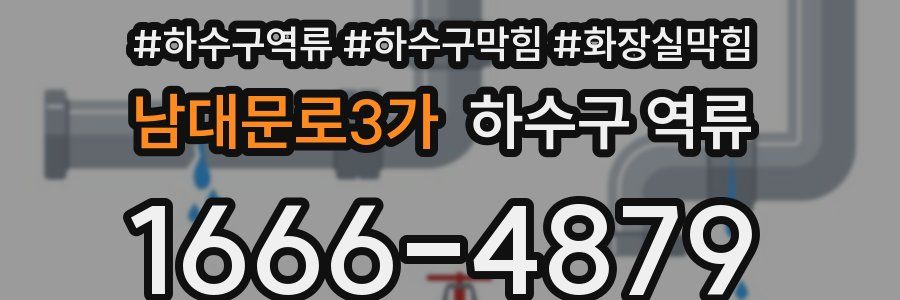 남대문로3가 하수구 역류