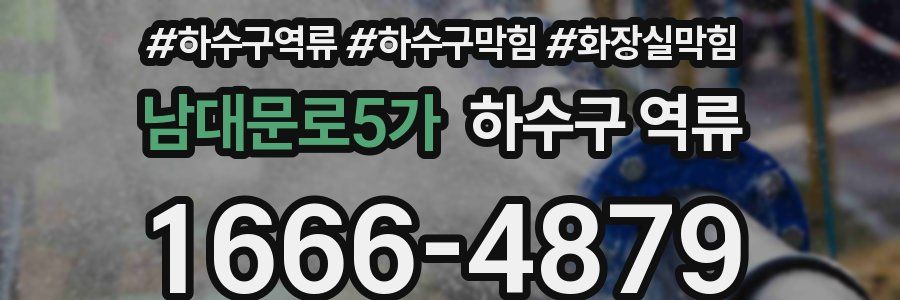 남대문로5가 하수구 역류