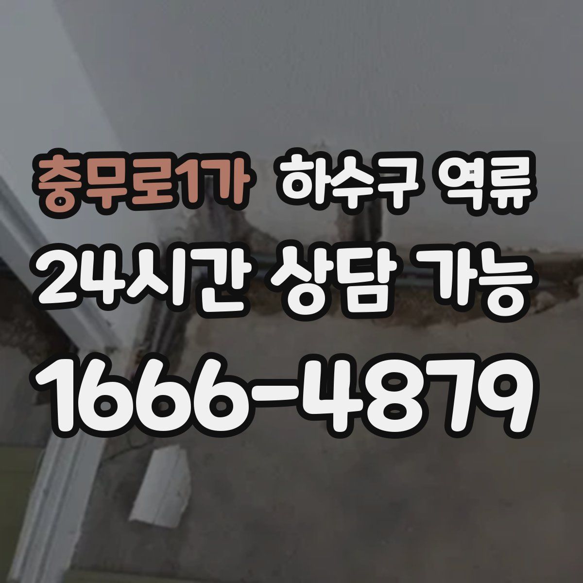 충무로1가 하수구 역류