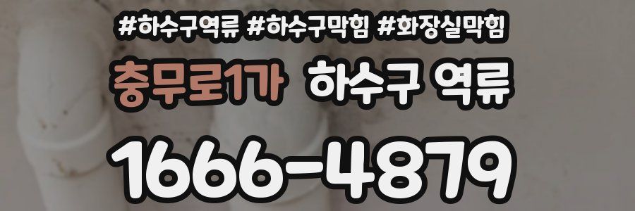 충무로1가 하수구 역류