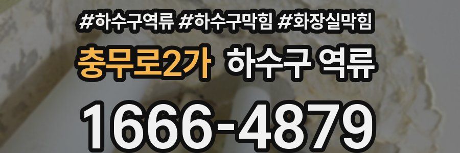 충무로2가 하수구 역류