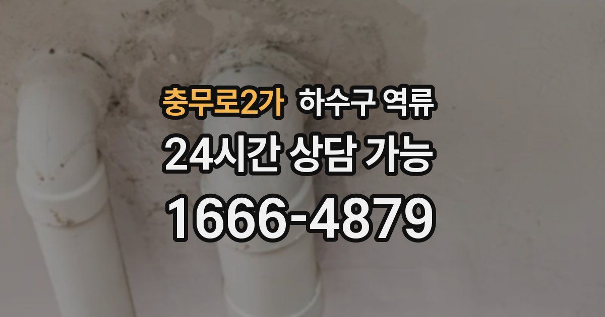 충무로2가 하수구 역류