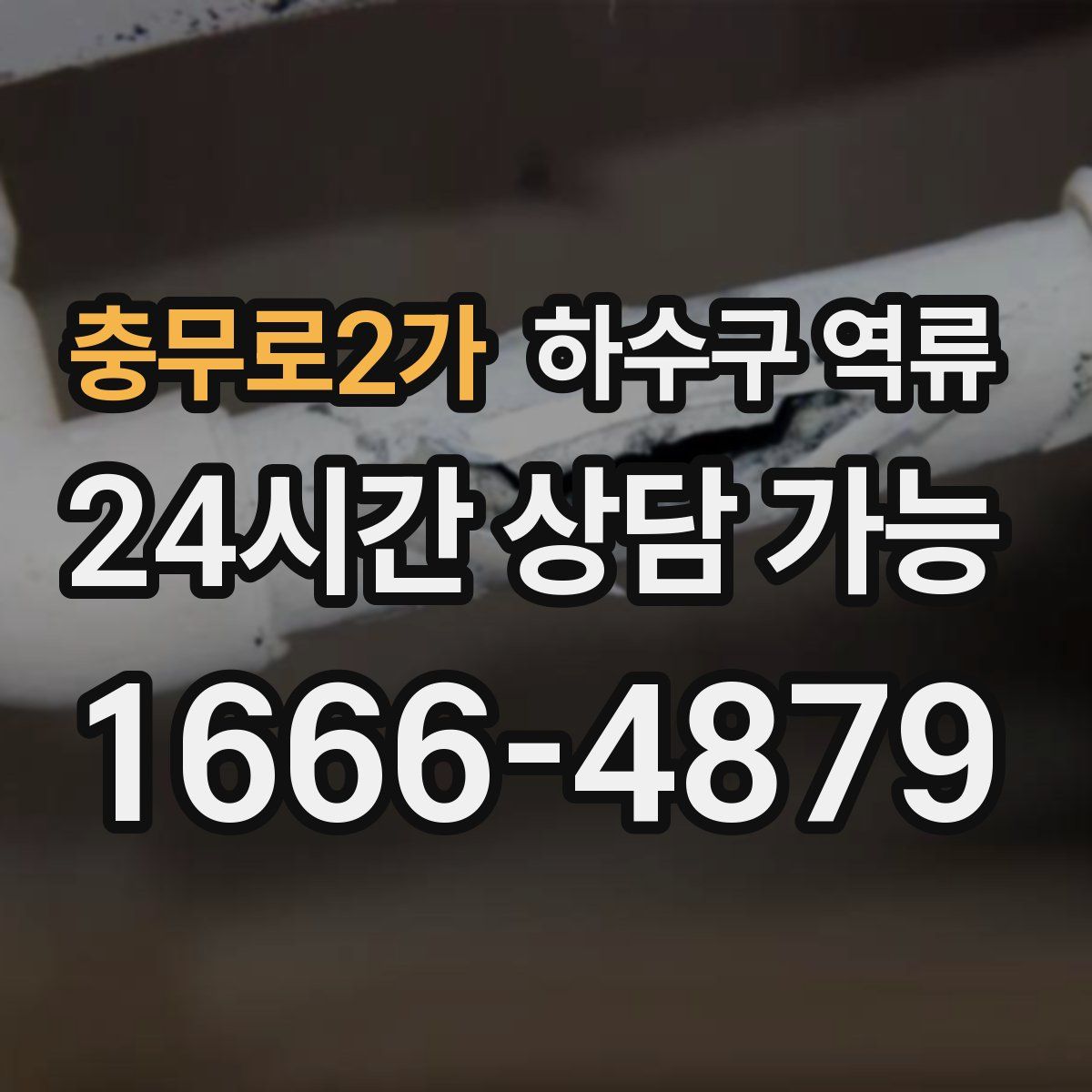 충무로2가 하수구 역류