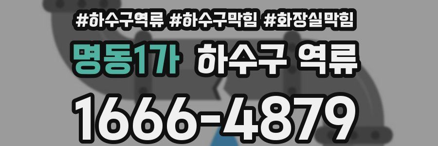 명동1가 하수구 역류