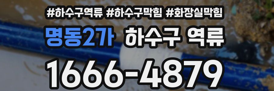 명동2가 하수구 역류