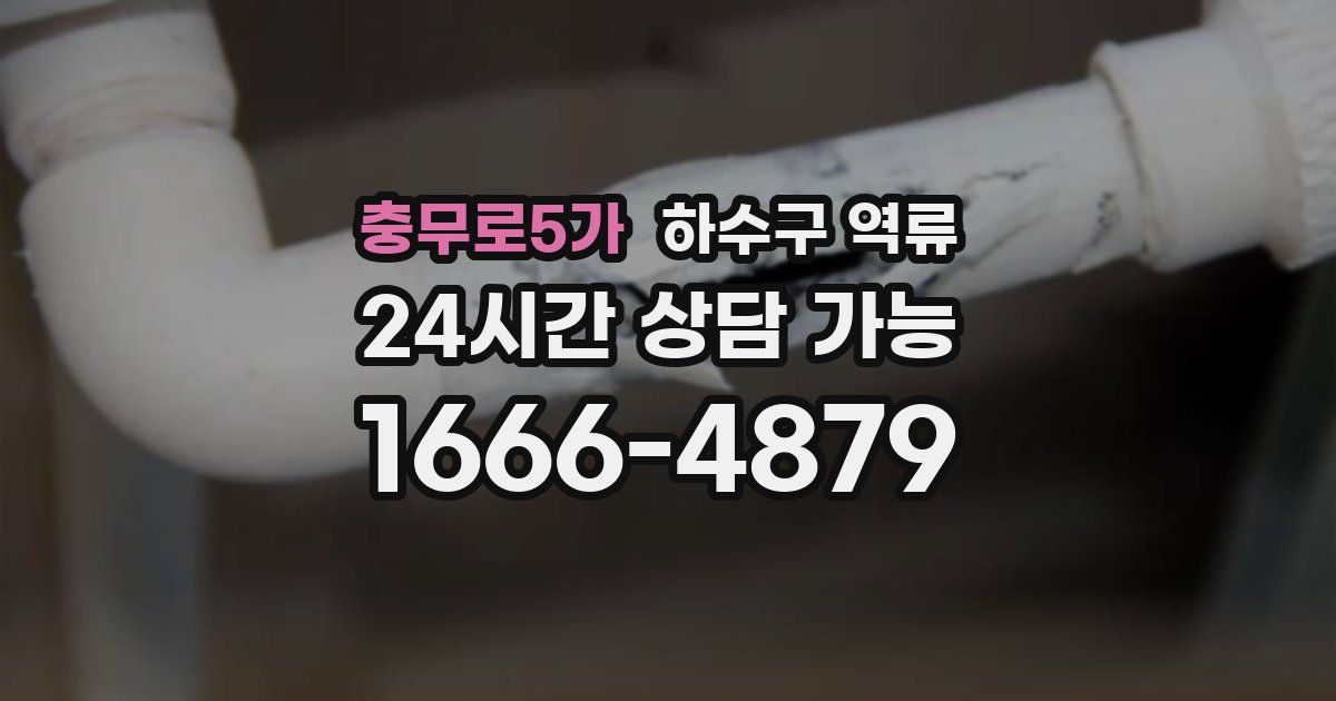 충무로5가 하수구 역류