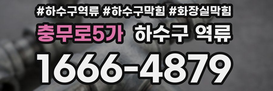 충무로5가 하수구 역류