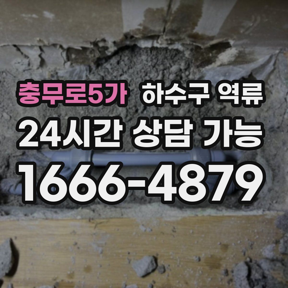 충무로5가 하수구 역류