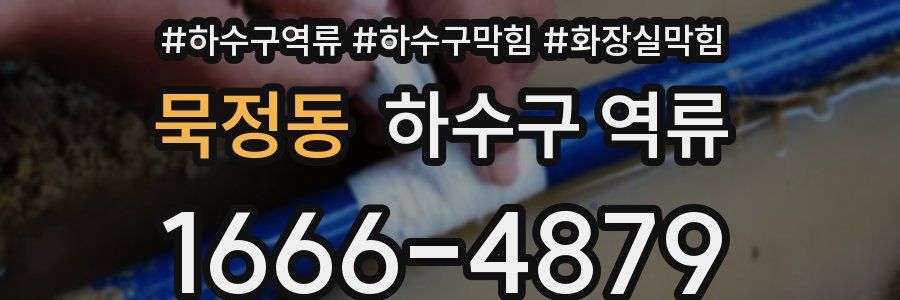 묵정동 하수구 역류