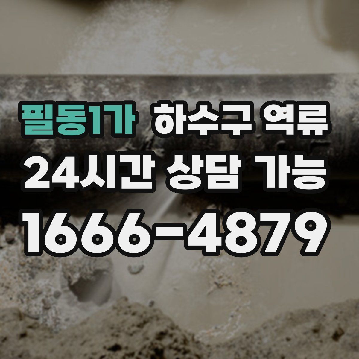 필동1가 하수구 역류