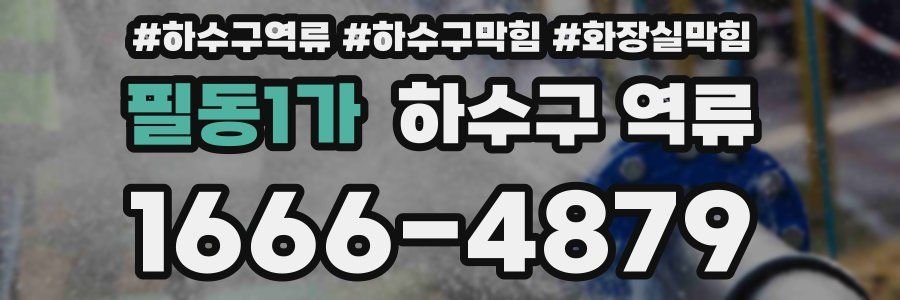 필동1가 하수구 역류