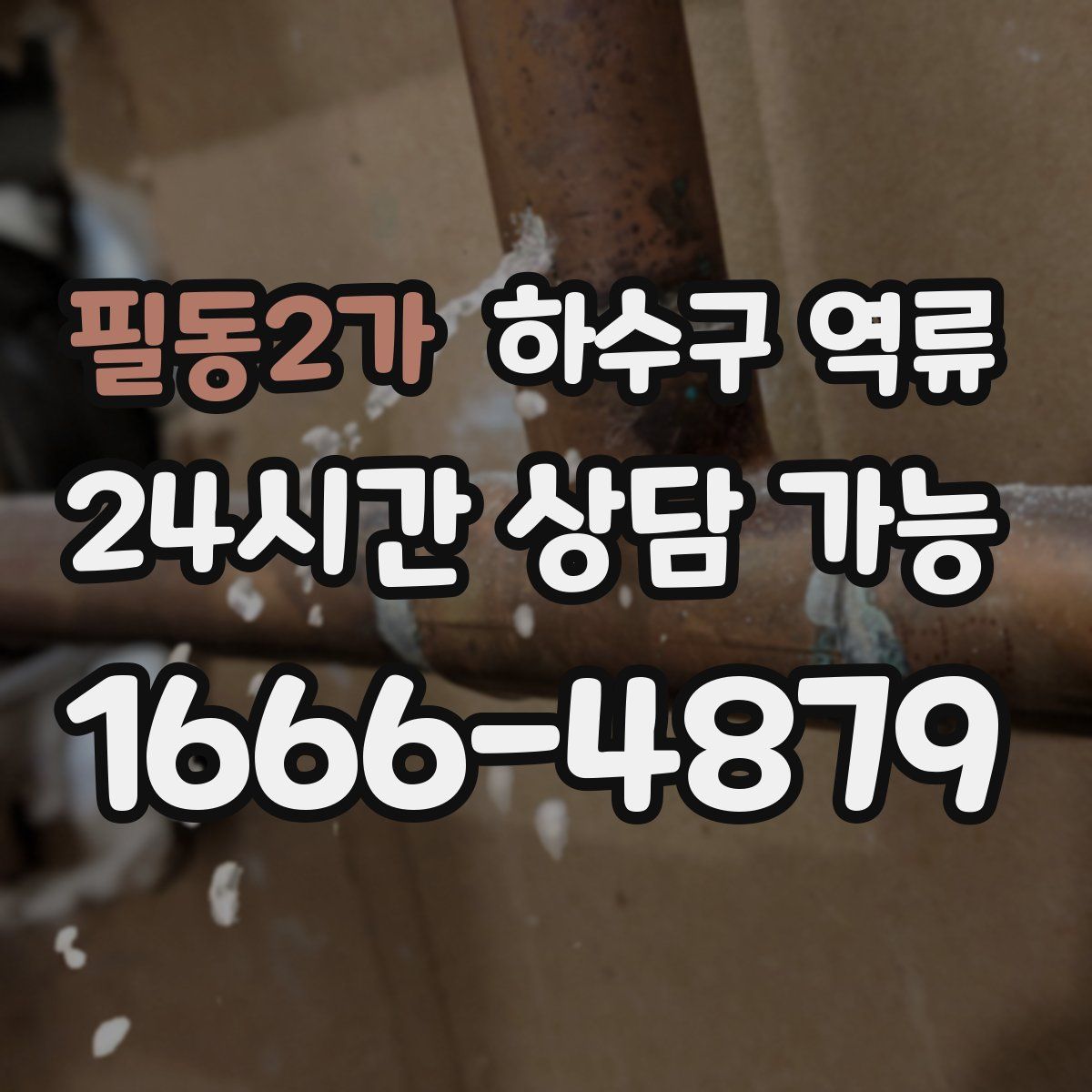 필동2가 하수구 역류