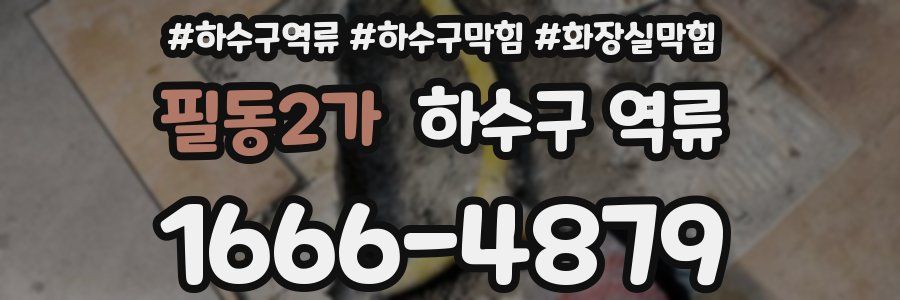 필동2가 하수구 역류