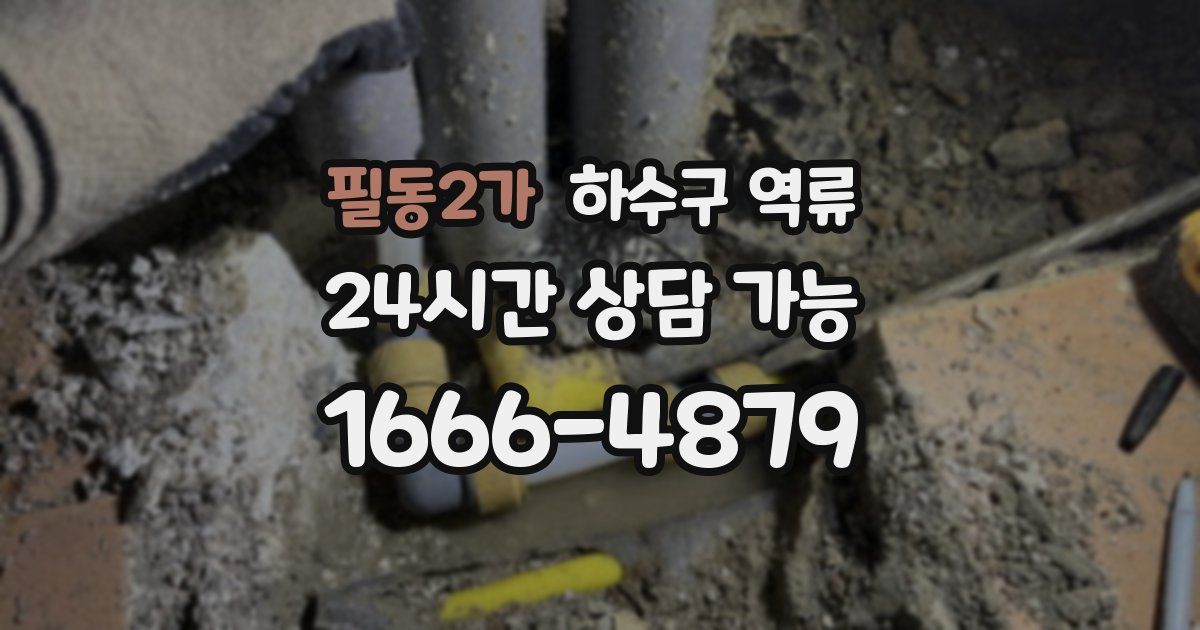 필동2가 하수구 역류