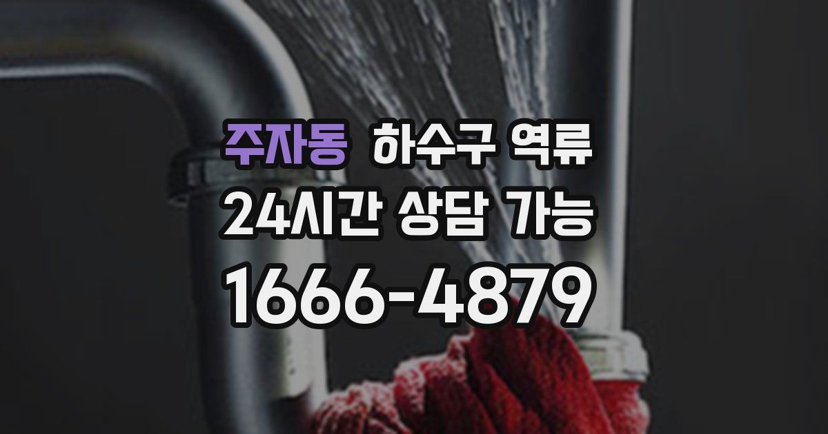 주자동 하수구 역류