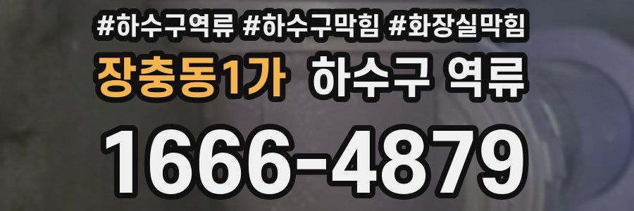 장충동1가 하수구 역류