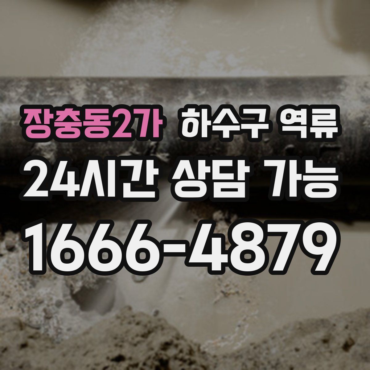 장충동2가 하수구 역류