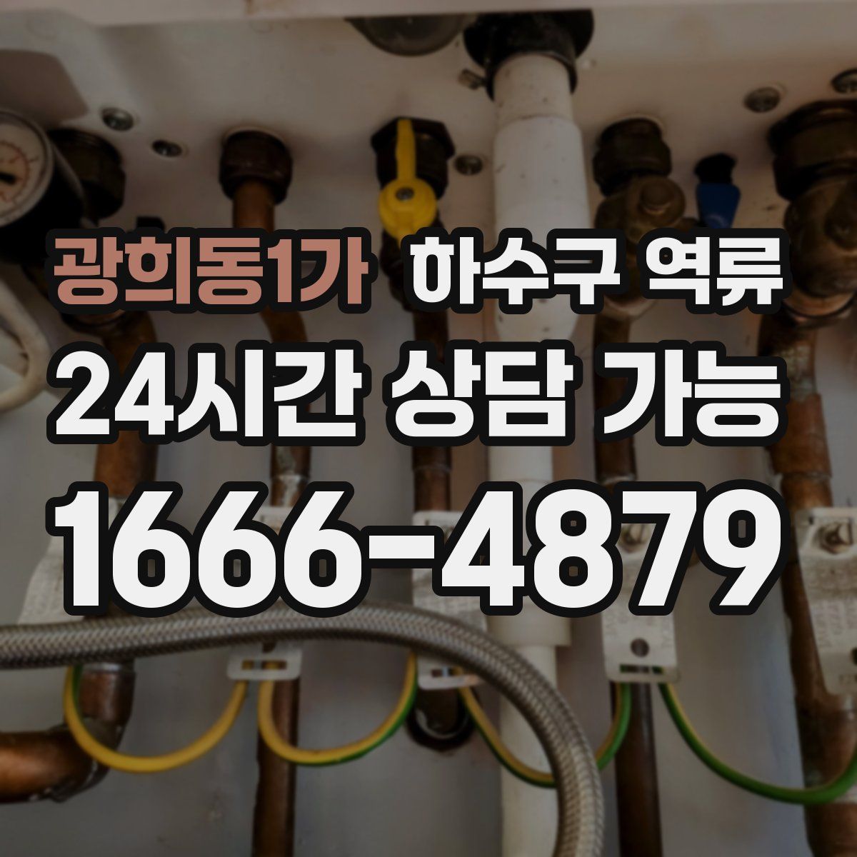 광희동1가 하수구 역류