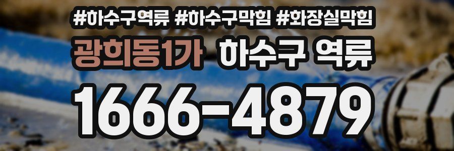 광희동1가 하수구 역류