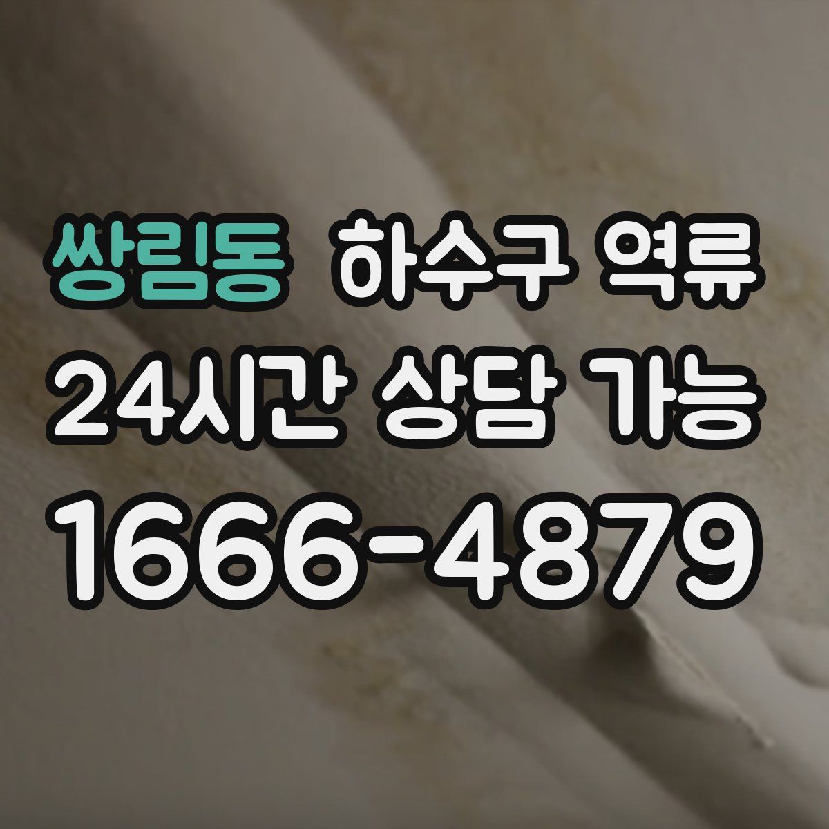 쌍림동 하수구 역류