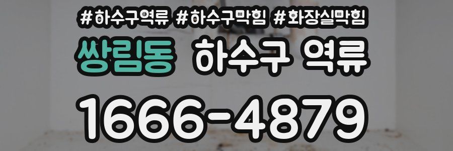 쌍림동 하수구 역류