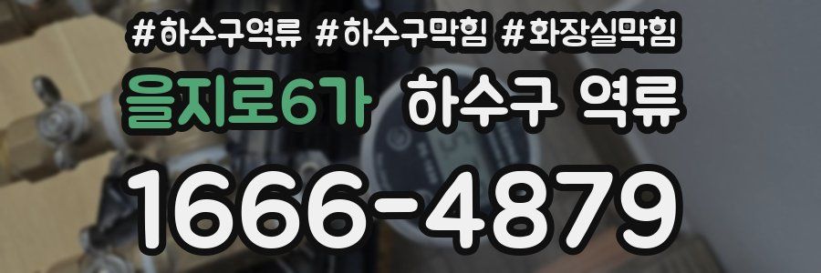 을지로6가 하수구 역류