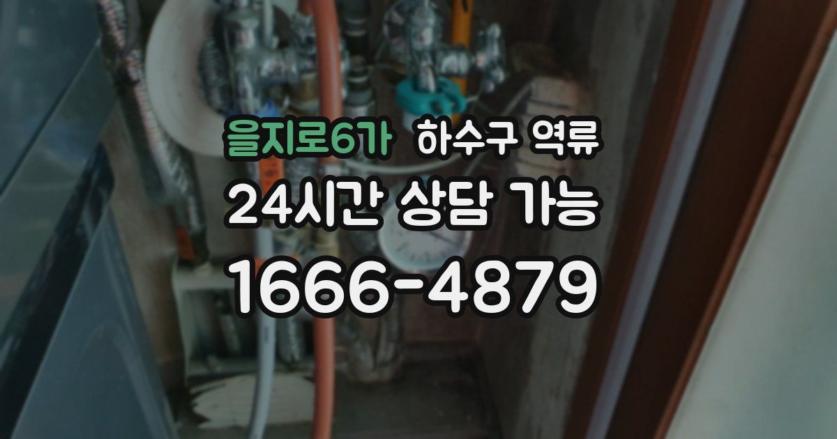 을지로6가 하수구 역류