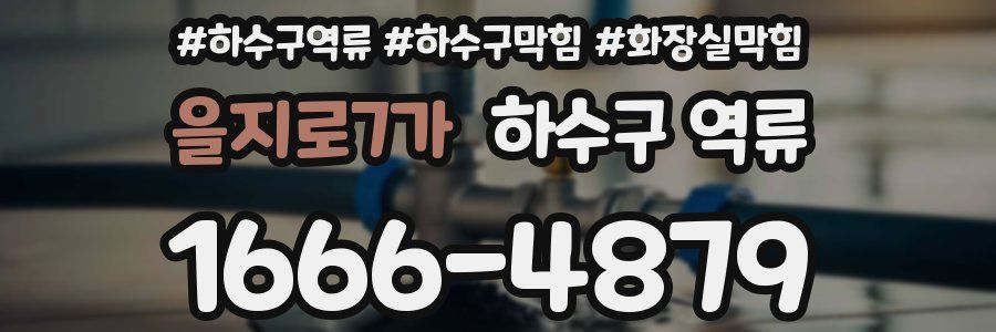 을지로7가 하수구 역류