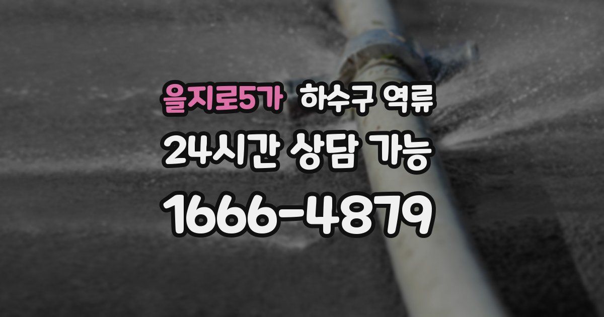 을지로5가 하수구 역류