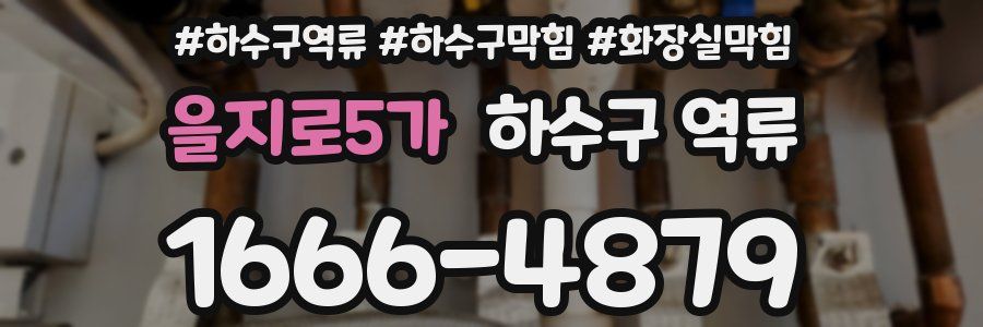 을지로5가 하수구 역류