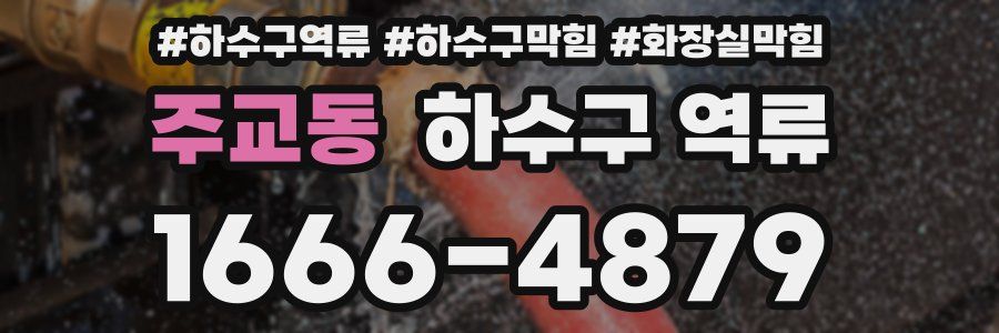 주교동 하수구 역류