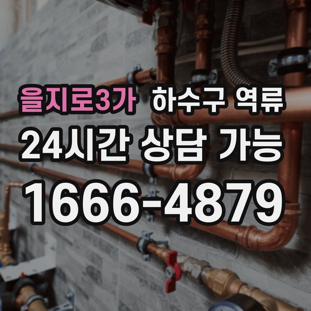 을지로3가 하수구 역류