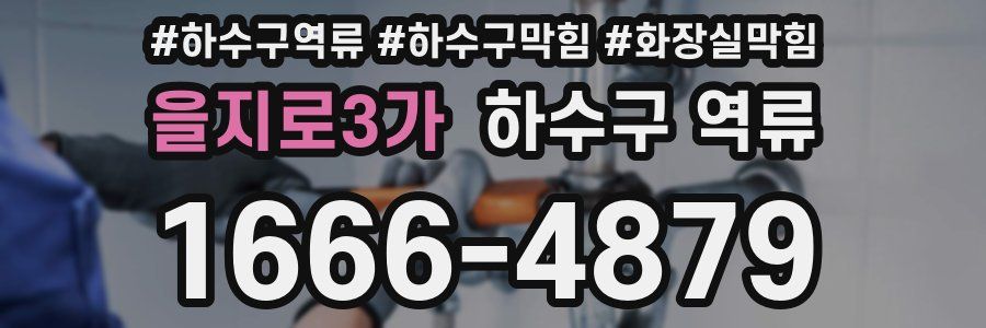 을지로3가 하수구 역류